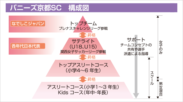 成基バニーズ京都SC構成図