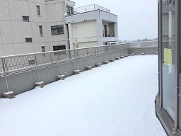 IMG_9565.jpg